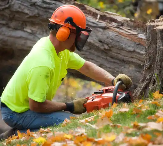 tree services Rockville